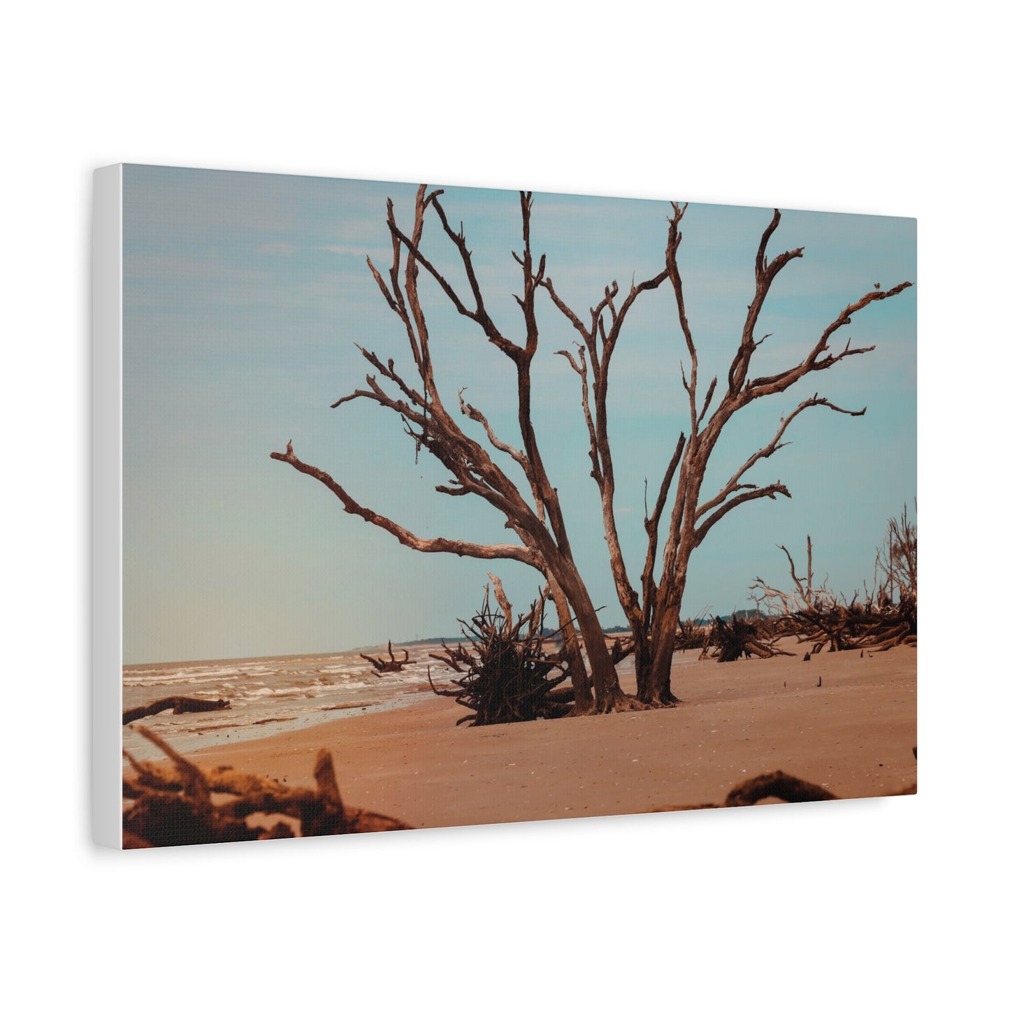 Botany Bay Matte Canvas