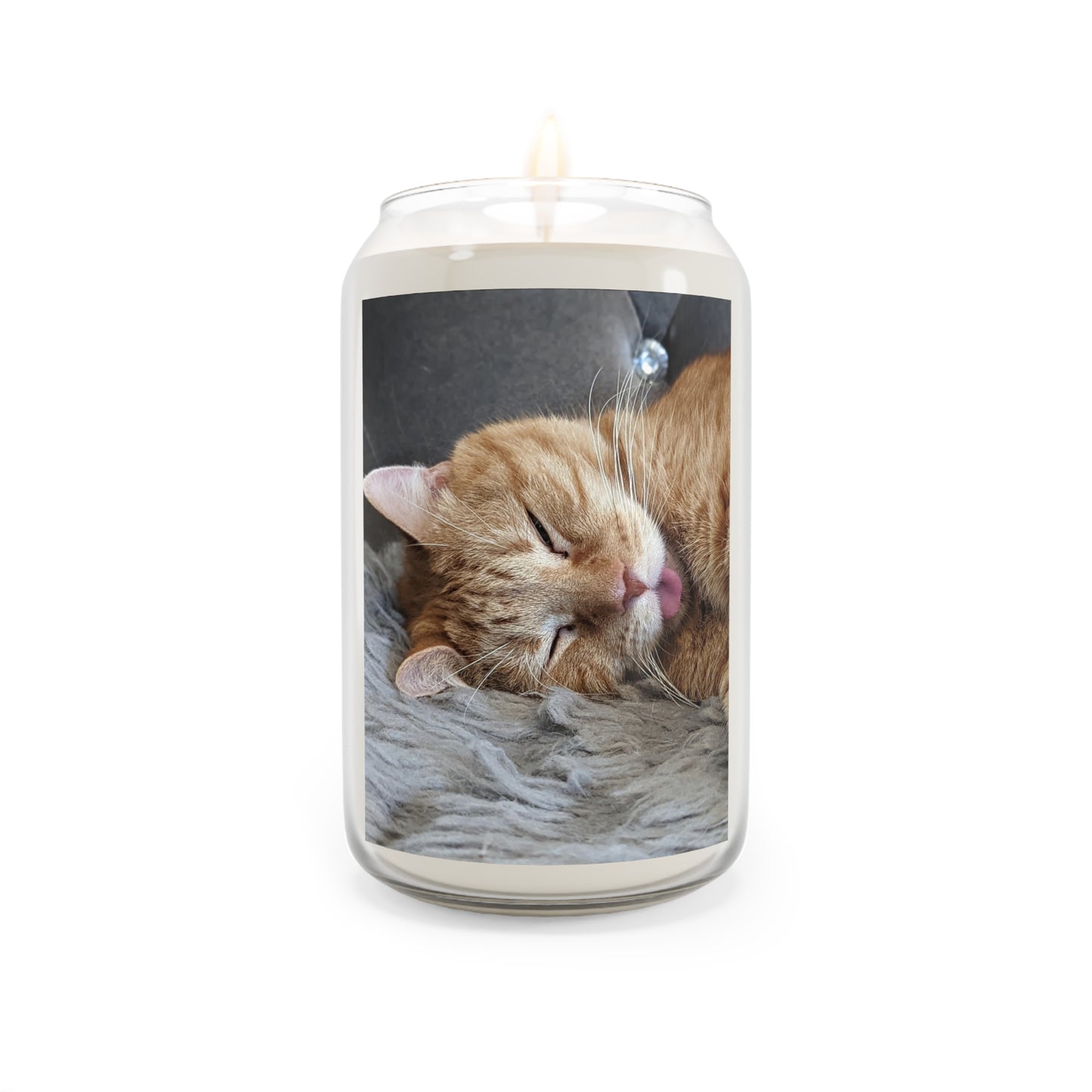 Sleeping Ernie the Cat Scented Candle 13.75oz