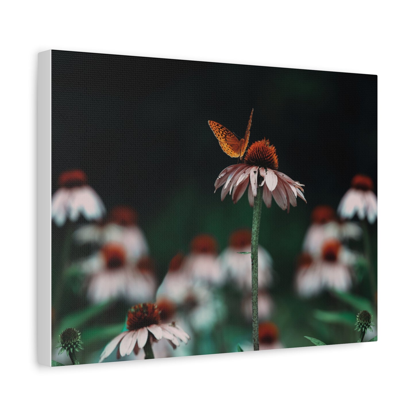 Butterfly Matte Canvas Print