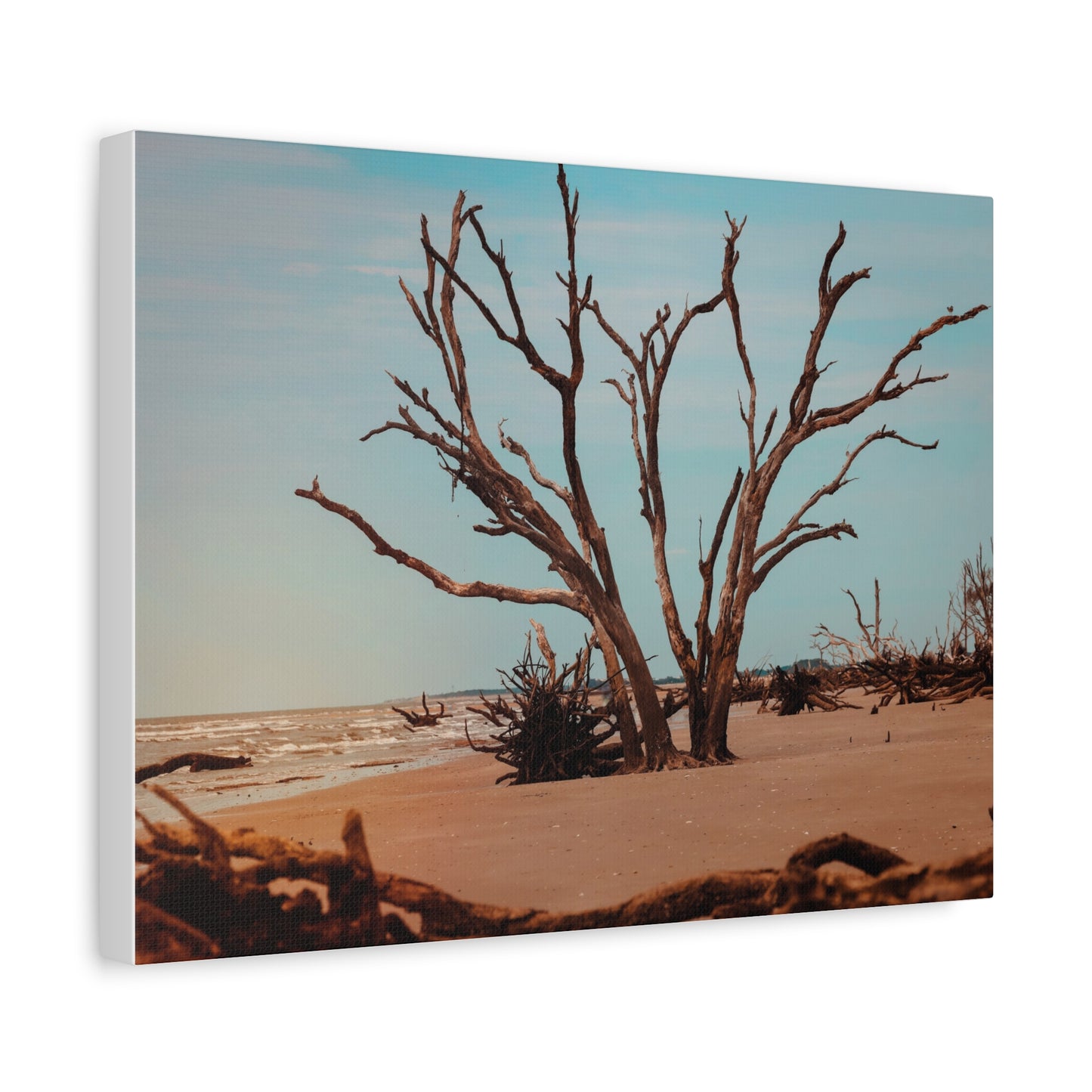 Botany Bay Matte Canvas