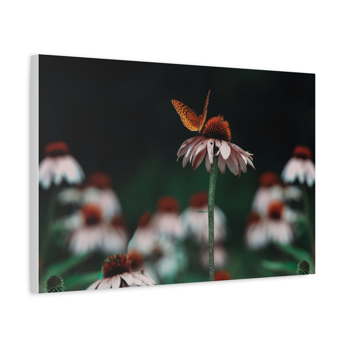 Butterfly Matte Canvas Print