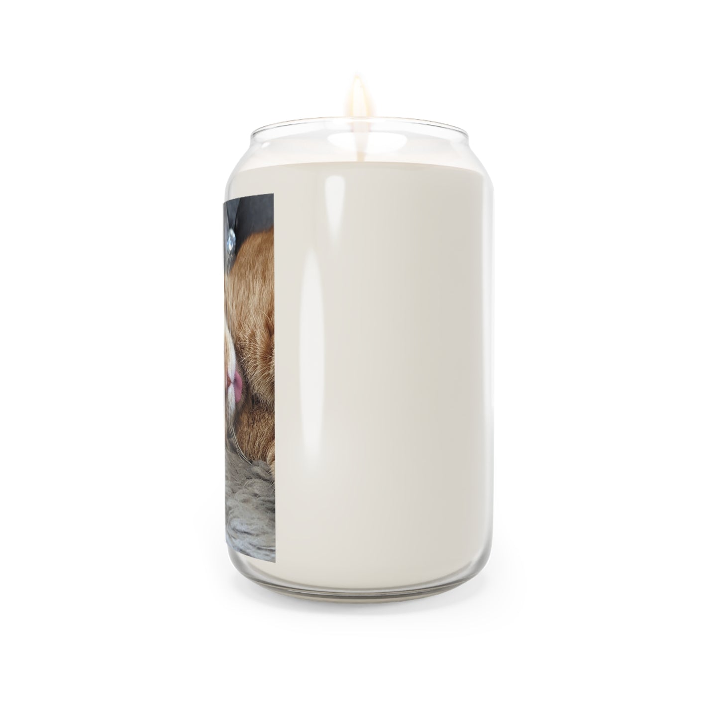 Sleeping Ernie the Cat Scented Candle 13.75oz