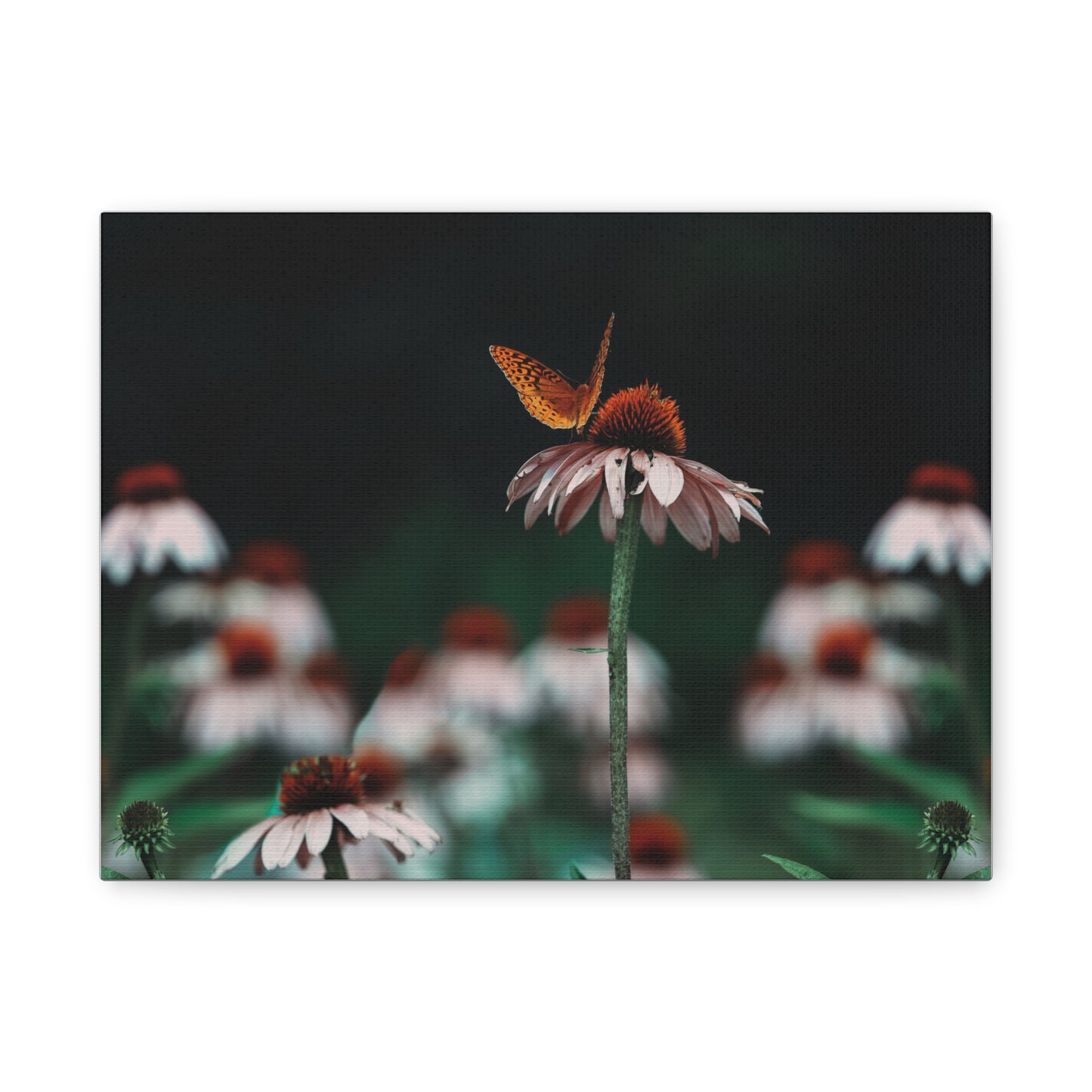 Butterfly Matte Canvas Print