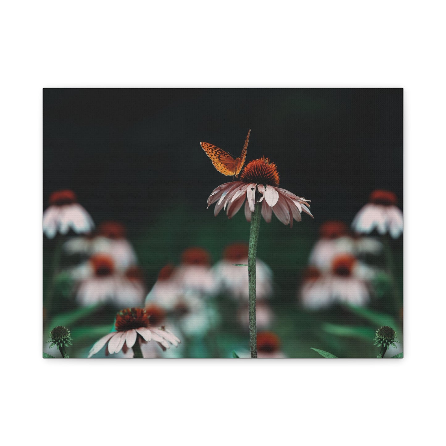 Butterfly Matte Canvas Print