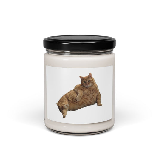 Ernie the Cat Lounging Scented Soy Candle 9oz