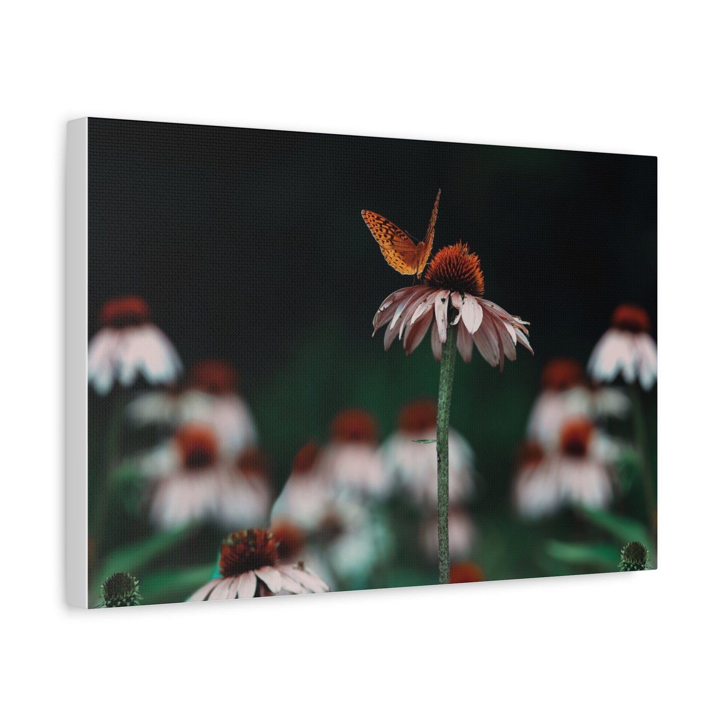 Butterfly Matte Canvas Print