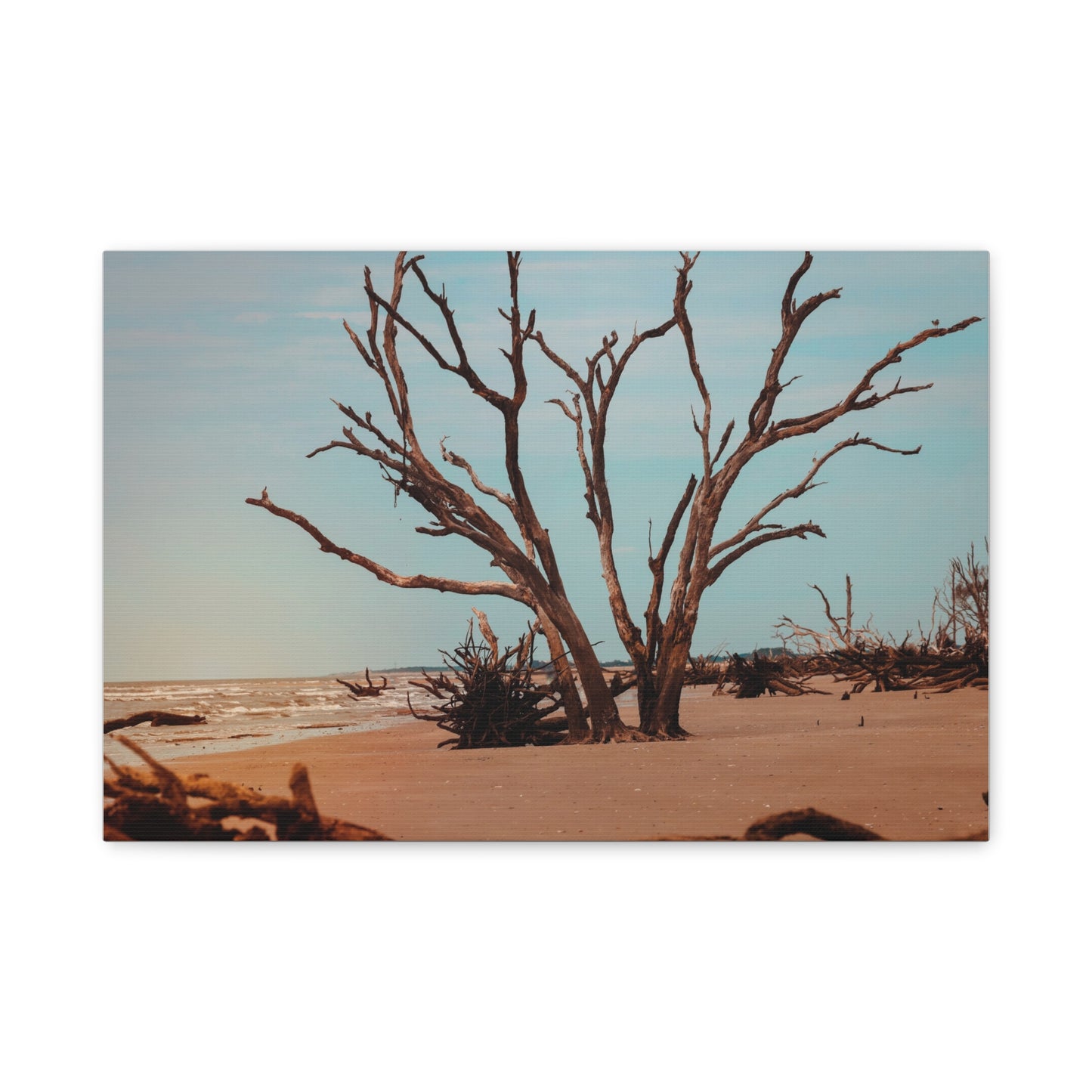 Botany Bay Matte Canvas