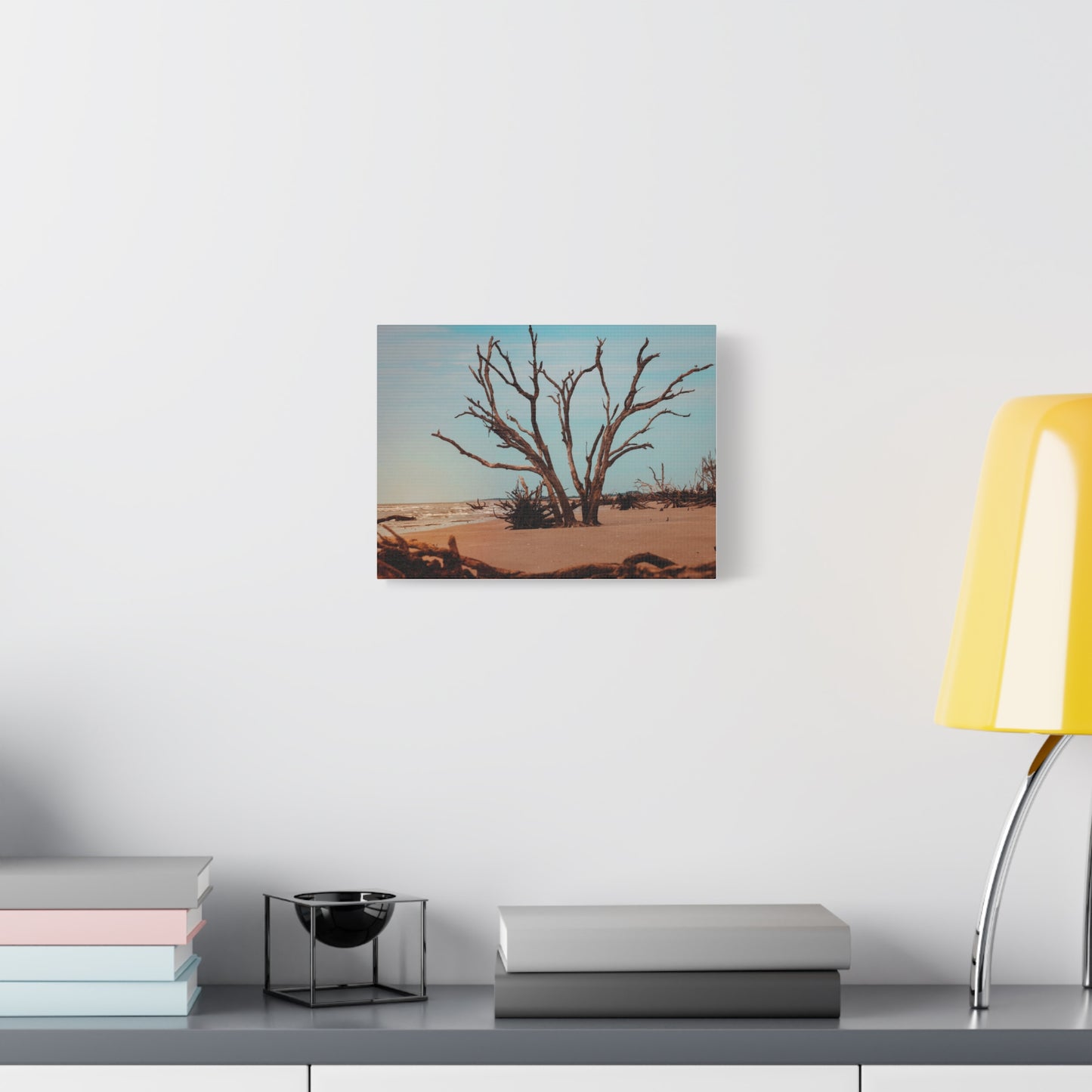 Botany Bay Matte Canvas