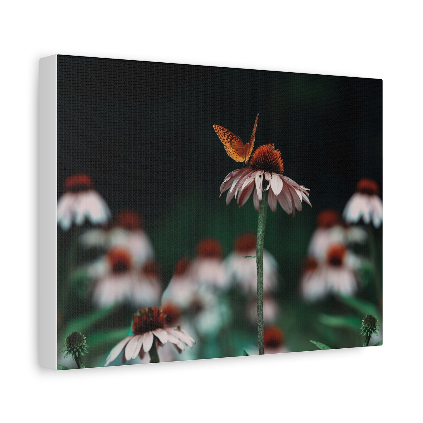 Butterfly Matte Canvas Print