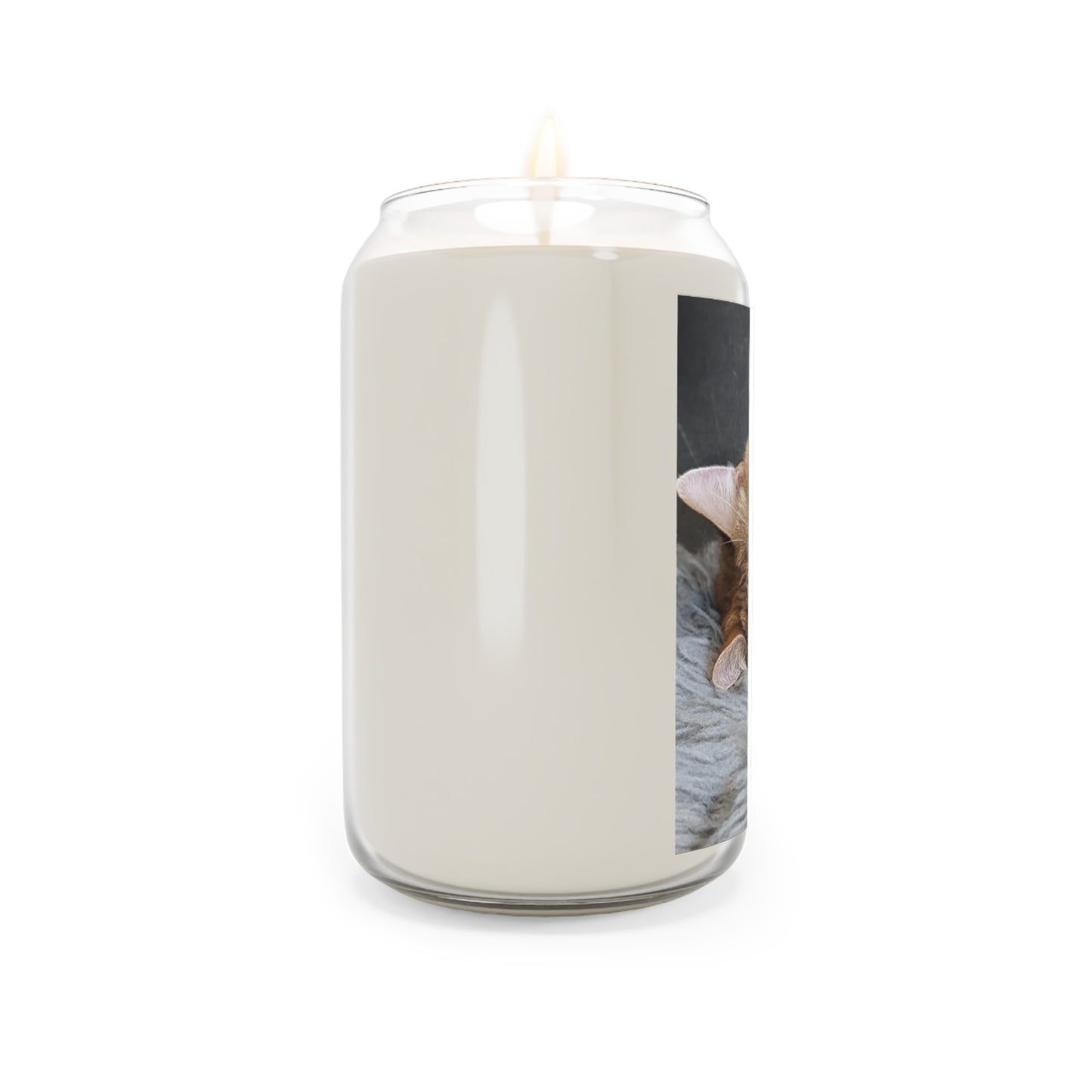 Sleeping Ernie the Cat Scented Candle 13.75oz