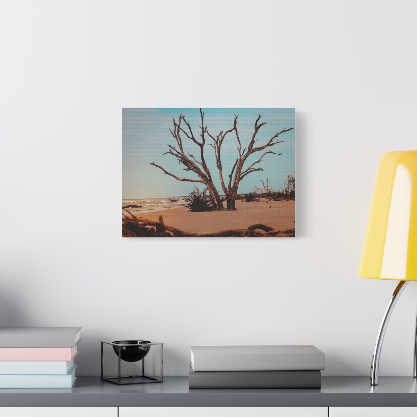 Botany Bay Matte Canvas